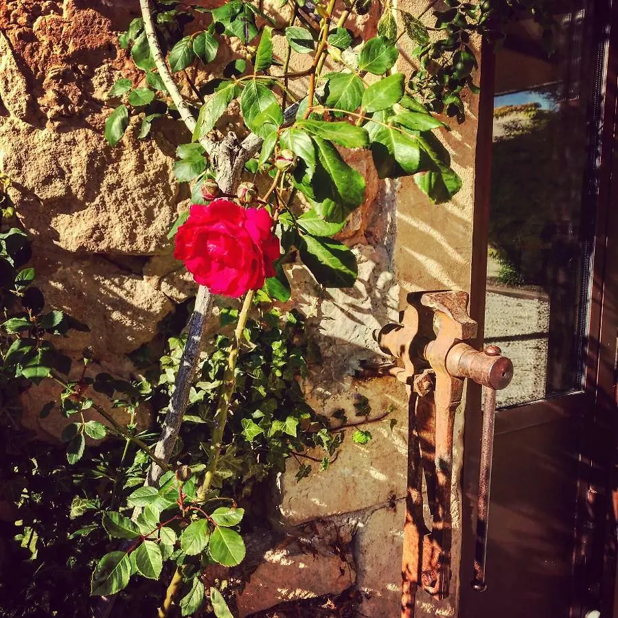 بيت ضيافة Le Clos D'Olea Oppède